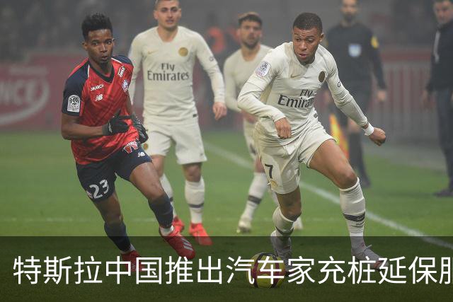 特斯拉中国推出汽车家充桩延保服务限时优惠，明年1月20日前购买延保服务最低199元