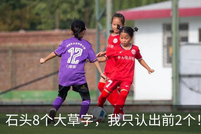 石头8个大草字，我只认出前2个！认全的值得竖大拇指。为何一句草书，常被一个生僻字拦腰截断？