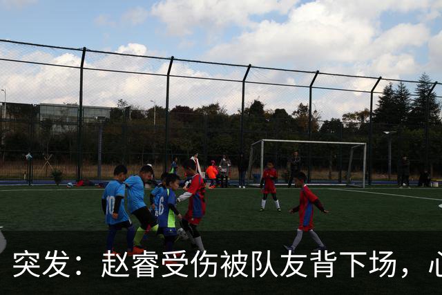 突发：赵睿受伤被队友背下场，心里一凉的不只是李楠，还有郭士强