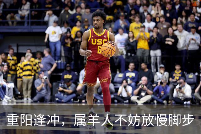 重阳逢冲，属羊人不妨放慢脚步