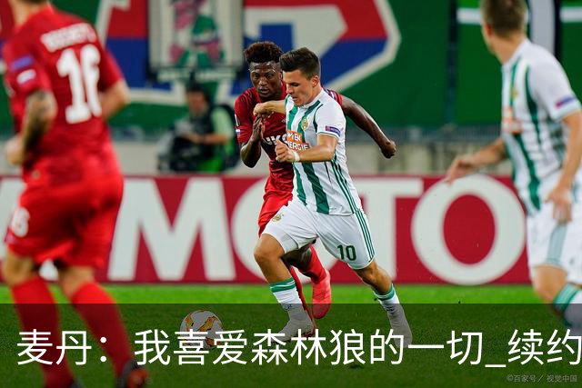 麦丹：我喜爱森林狼的一切 续约是不用犹豫的决定