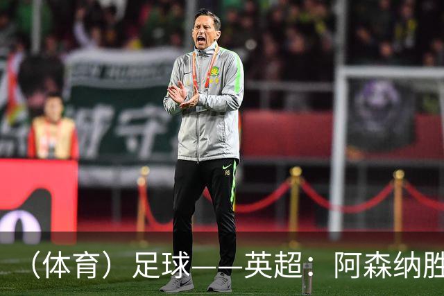 （体育）足球——英超：阿森纳胜埃弗顿